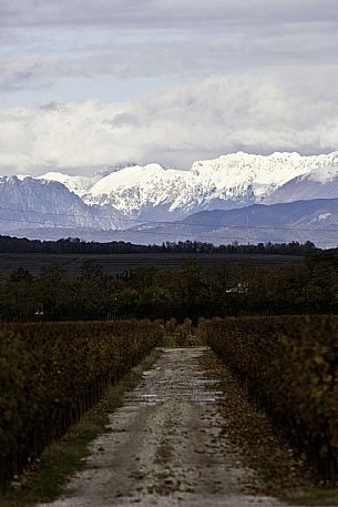 Farra d'Isonzo - Tenuta VIllanova