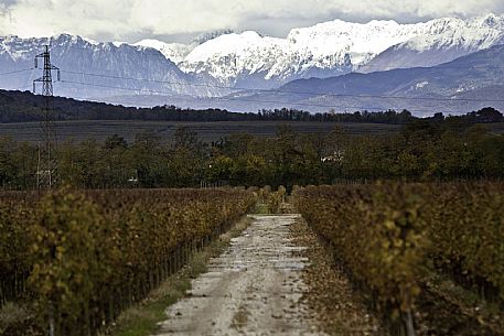 Farra d'Isonzo - Tenuta VIllanova