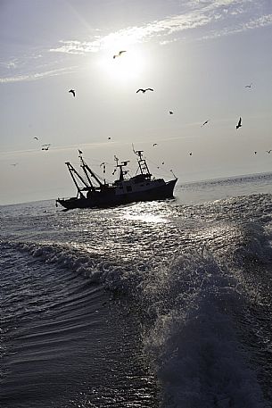 Grado lagoon