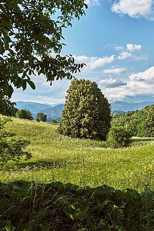 AAT 28 - Landscape