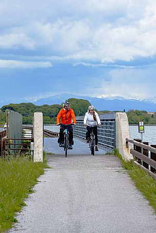 Cyclists on the cycle path.