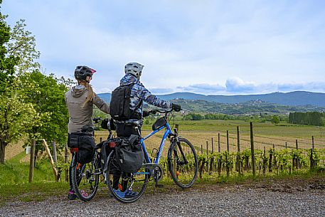 Cyclists looking at the Collio from the side of the road.