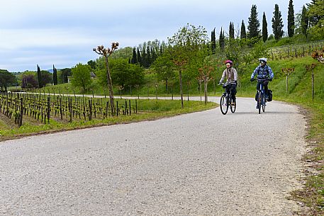 Cyclists among the vineyards.