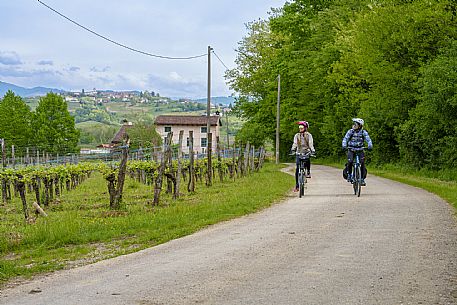 Cyclists among the vineyards.