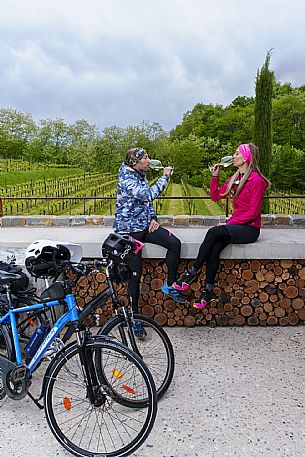 Cyclists drinking a glass of wine with the Collio in the background.