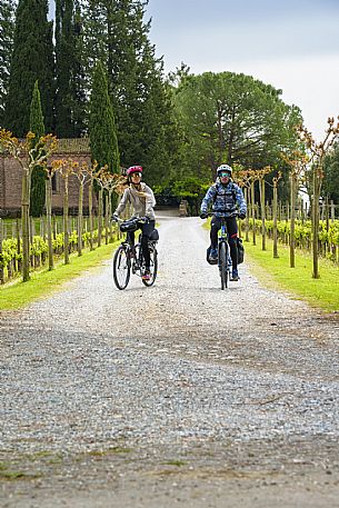 Cyclists among the vineyards.