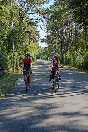 Cyclists on the cycle path.