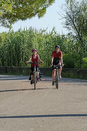 Cyclists in Lignano Riviera