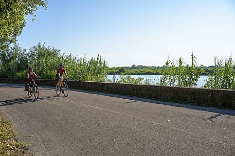 Cyclists on the cycle path.