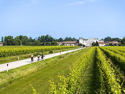 Family cyclists in Villa Manin