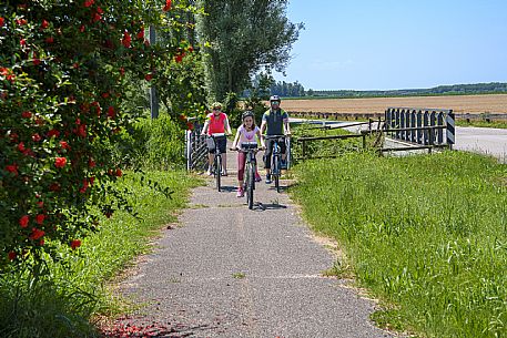 Family cyclists in the countryside near Codroipo