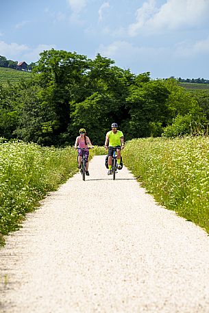 Cyclists in the countryside of Gorizia