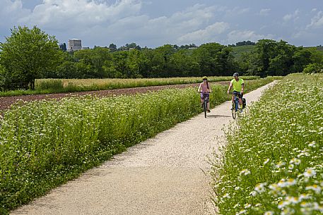 Cyclists in the countryside of Gorizia