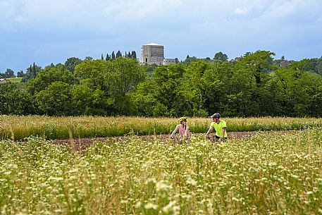 Cyclists in the countryside of Gorizia