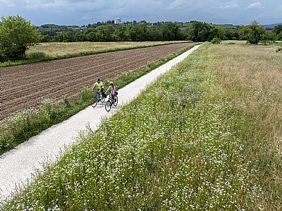 Cyclists in the countryside of Gorizia