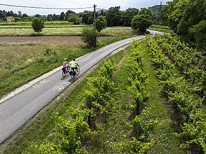 Cyclists in the countryside of Gorizia