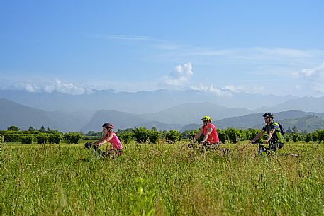 Cyclists family