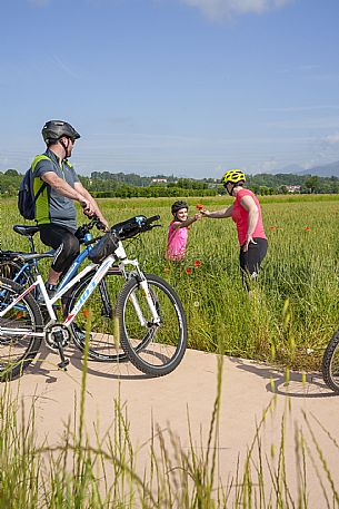 Cyclists family