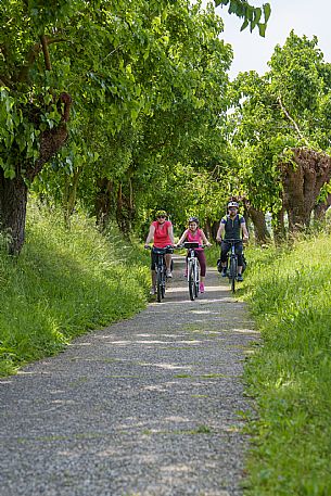 Cyclists family on the ditches cycle path