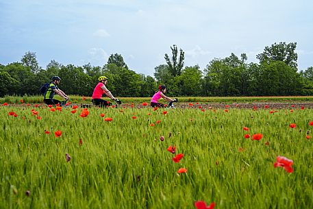 Cyclists family on the ditches cycle path