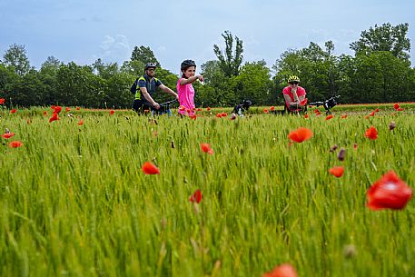 Cyclists family on the ditches cycle path