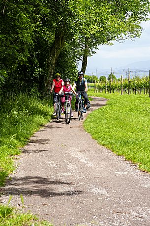 Cyclists family on the ditches cycle path