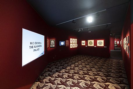 Escher Exhibition - Trieste