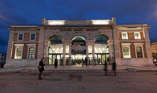 Escher Exhibition - Trieste