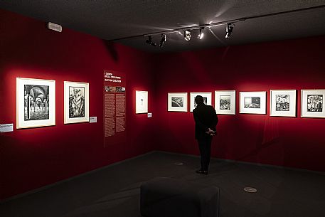 Escher Exhibition - Trieste