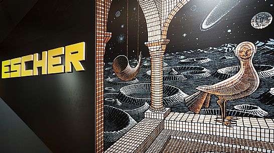 Escher Exhibition - Trieste