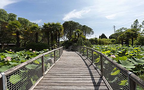 Lignano - Parco Zoo Punta Verde