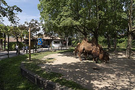 Lignano - Parco Zoo Punta Verde