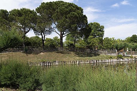 Lignano - Parco Zoo Punta Verde