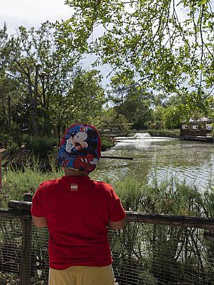 Lignano - Parco Zoo Punta Verde