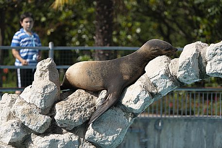 Lignano - Parco Zoo Punta Verde