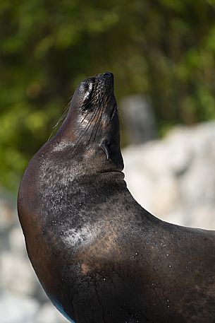 Lignano - Parco Zoo Punta Verde