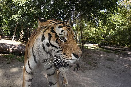 Lignano - Parco Zoo Punta Verde