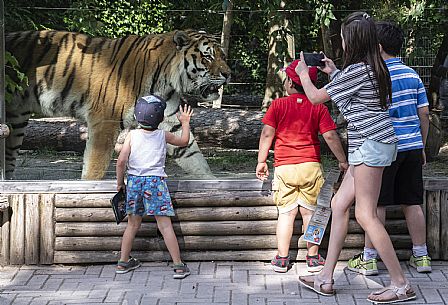 Lignano - Parco Zoo Punta Verde