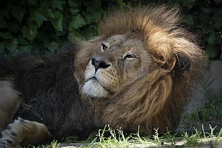 Lignano - Parco Zoo Punta Verde