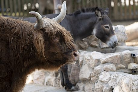 Lignano - Parco Zoo Punta Verde