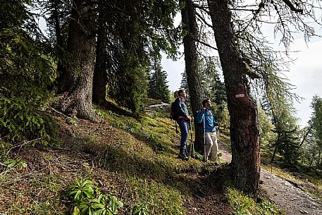 Alpe Adria Trail - Tarvisiano