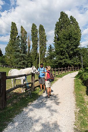 Alpe Adria Trail - Collio