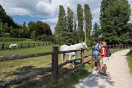 Alpe Adria Trail - Collio