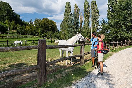 Alpe Adria Trail - Collio