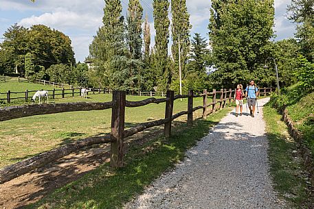 Alpe Adria Trail - Collio