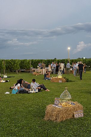 Pic & Taste nell'Azienda Vinicola Magredi