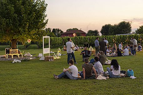 Pic & Taste nell'Azienda Vinicola Magredi