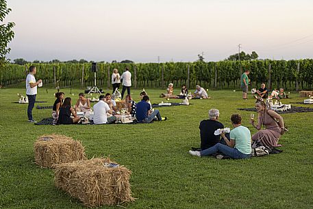 Pic & Taste nell'Azienda Vinicola Magredi