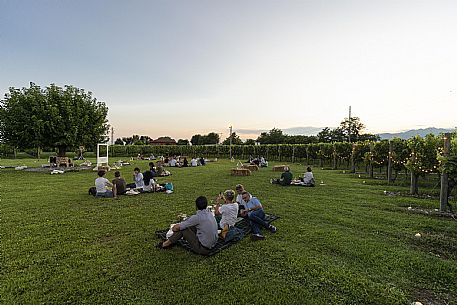 Pic & Taste nell'Azienda Vinicola Magredi