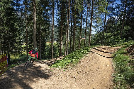 Bike Park dell'Angelo - Tarvisio